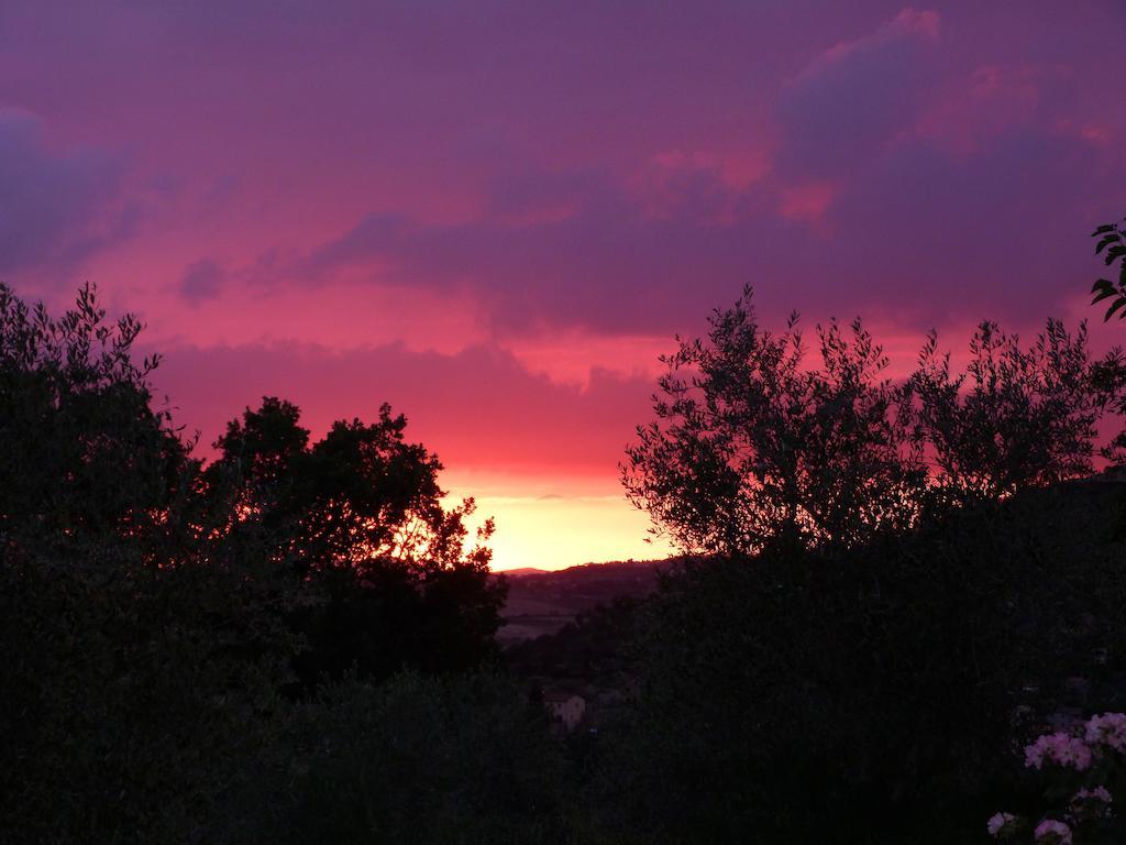 Agriturismo Apparita Montecastelli Pisano Εξωτερικό φωτογραφία