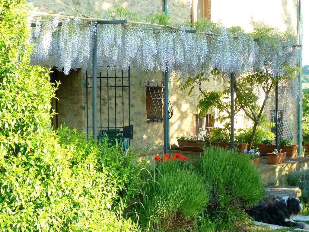 Agriturismo Apparita Montecastelli Pisano Εξωτερικό φωτογραφία